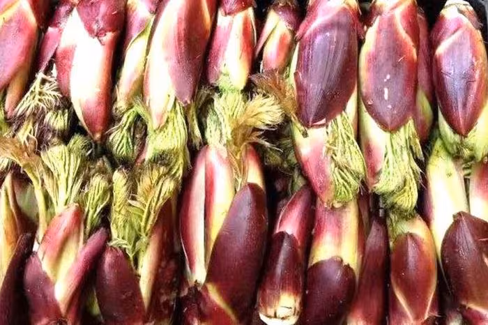 Khám phá nụ rồng gai – “cao lương mỹ vị” số 1 thế giới và 2 công thức ngon bổ dưỡng