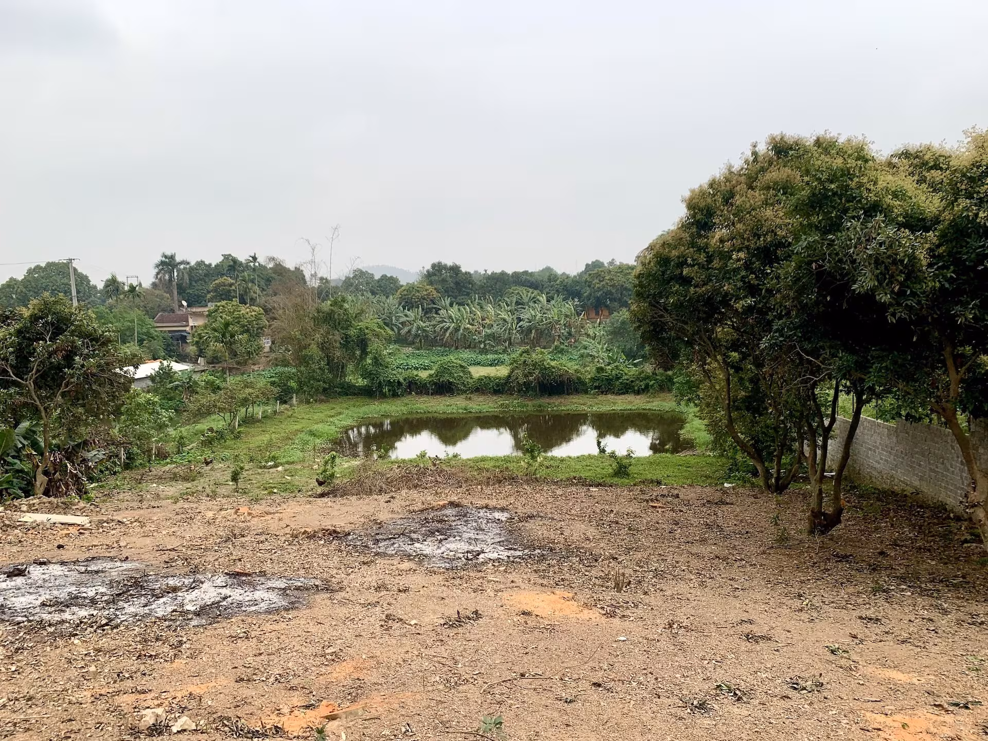 Khi không được tách thửa sau khi chuyển mục đích sử dụng đất: Quyền yêu cầu hoàn trả tiền và thủ tục pháp lý