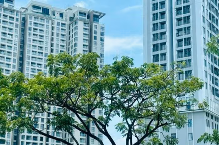 Kỷ lục mới về nguồn cung căn hộ Hà Nội và TP.HCM quý 4/2025