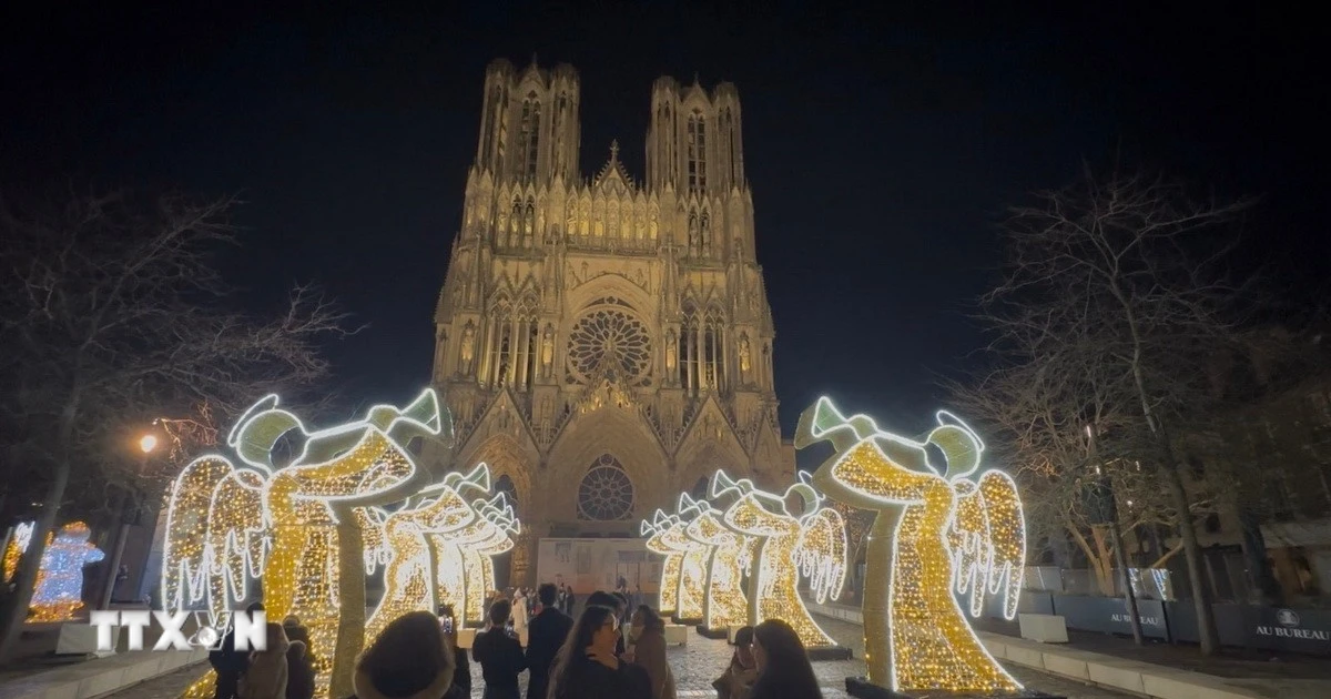 Lễ hội ánh sáng Reims: Di sản bừng sáng giữa đêm