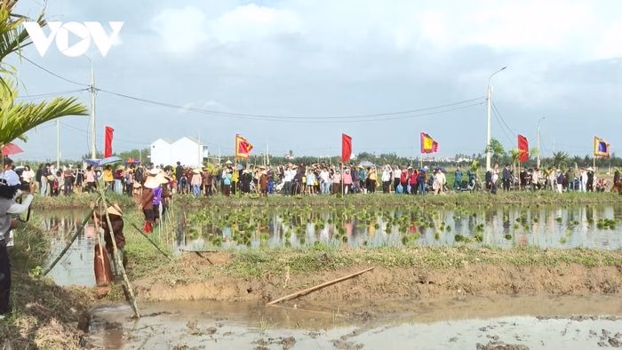 Khung cảnh lễ hội thu h&uacute;t kh&aacute;ch quốc tế