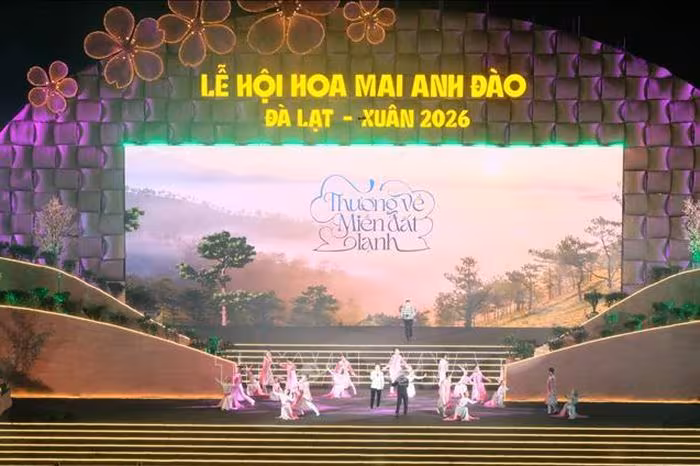 Lễ hội hoa mai anh đào Đà Lạt 2026: Sắc xuân rực rỡ thu hút hàng ngàn du khách