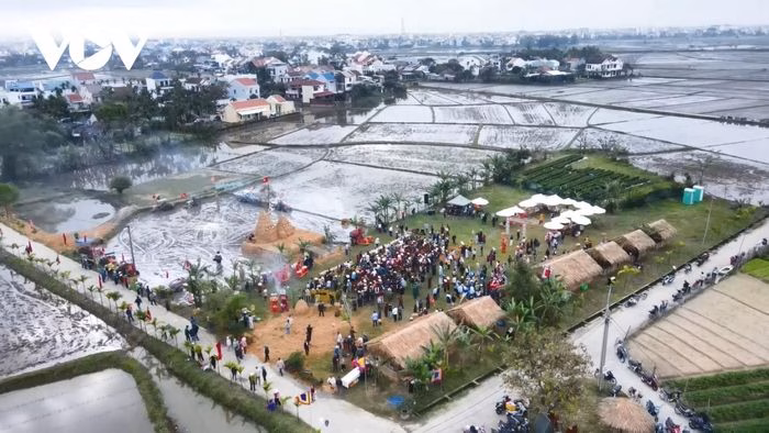 Lễ hội xuống đồng Hội An Đ&ocirc;ng &ndash; hoạt động c&agrave;y v&agrave; trồng l&uacute;a