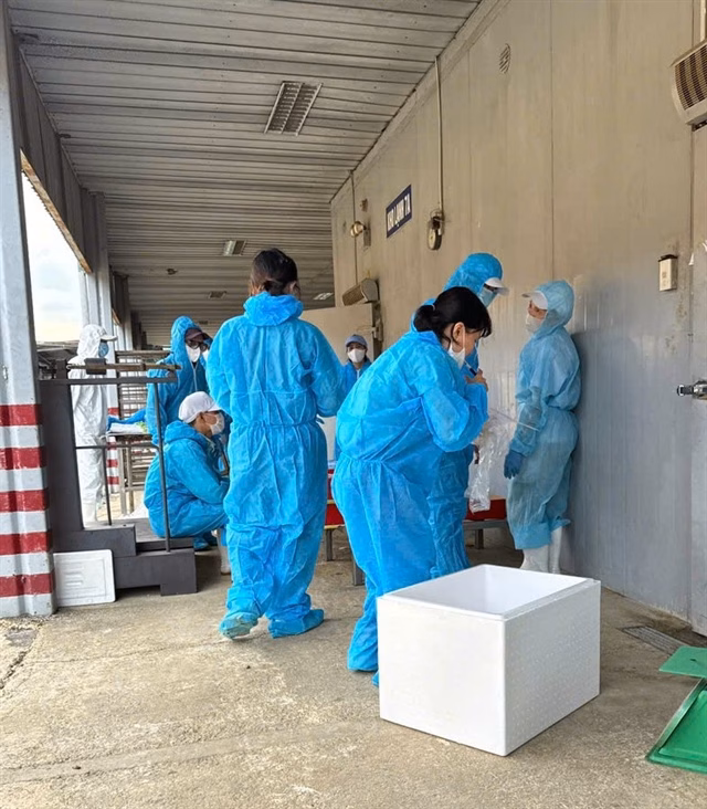 Kiểm tra mẫu thịt trong kho lạnh