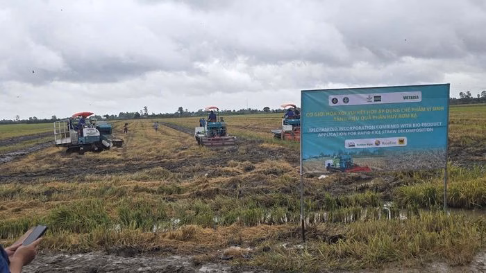 M&aacute;y m&oacute;c tự h&agrave;nh thu gom rơm tại đồng bằng s&ocirc;ng Cửu Long