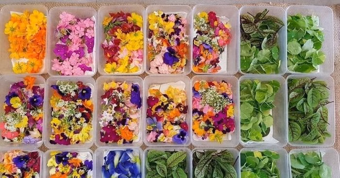 Mở rộng cung ứng hoa, rau deco gi&uacute;p HTX chinh phục thị trường tiềm năng