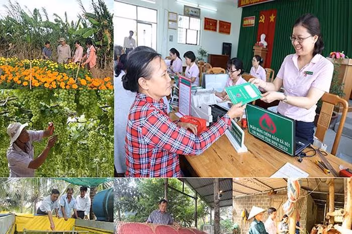 Nghị định 06/2026/NĐ-CP: Khung pháp lý mới cho Ngân hàng Chính sách xã hội