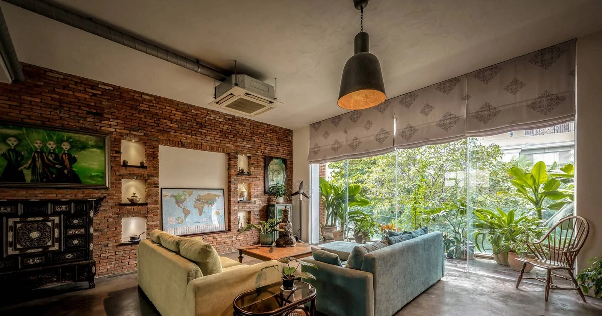 Ngôi nhà xanh giữa hẻm TP.HCM: Thiết kế tinh tế, không gian sống