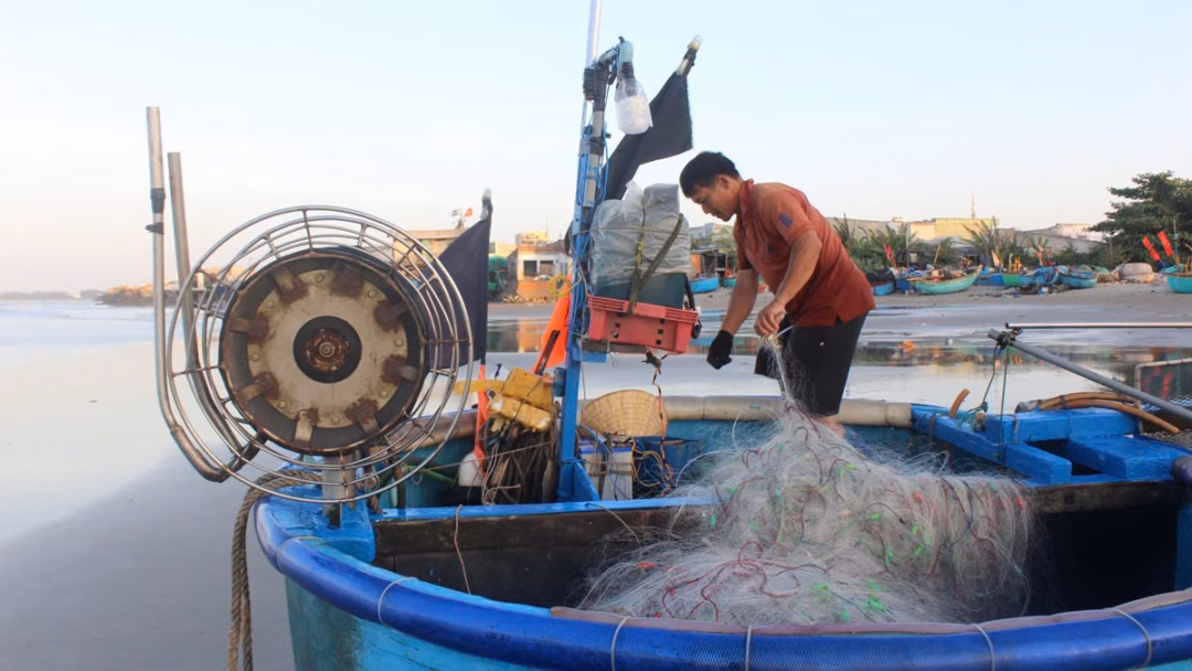 FIP Vũng Tàu: Mô hình PPP đưa bột cá Việt tới nhãn xanh quốc tế