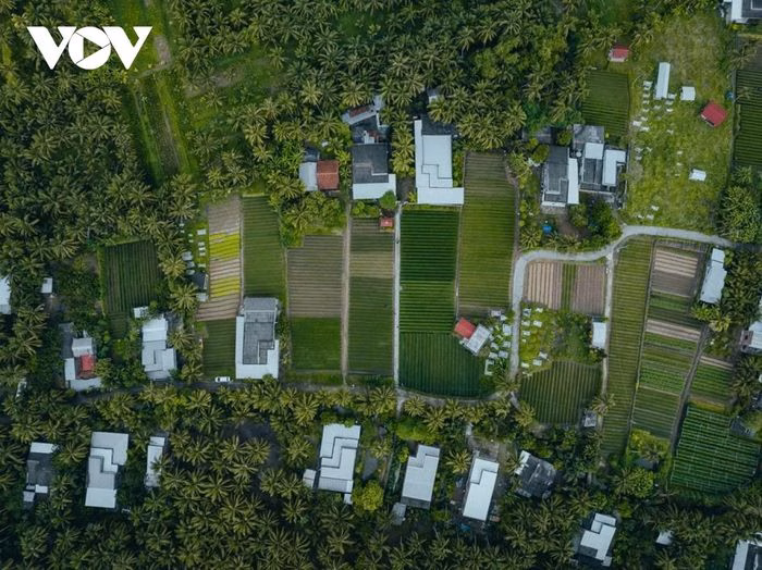 Nh&agrave; n&ocirc;ng xen kẽ giữa thảm xanh hẹ