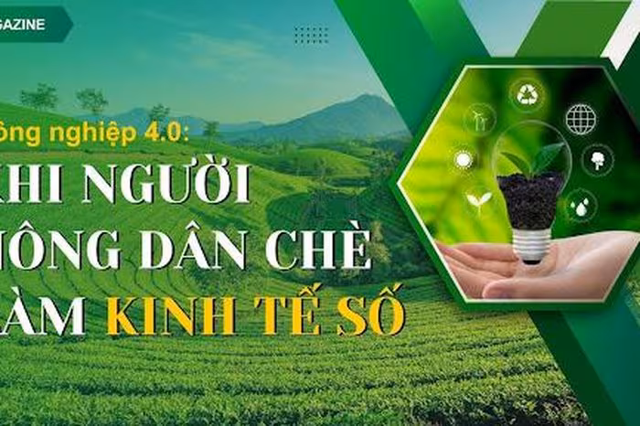 Nông nghiệp 4.0: Cách mạng số biến chè Thái Nguyên thành thương hiệu toàn cầu