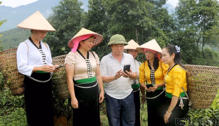 N&ocirc;ng d&acirc;n L&agrave;o Cai sử dụng ứng dụng thời tiết v&agrave; gi&aacute; thị trường