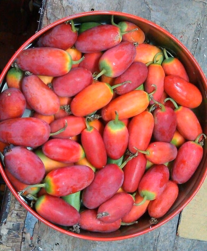 Quả b&igrave;nh b&aacute;t d&acirc;y ch&iacute;n đỏ, da mịn v&agrave; ngọt chua