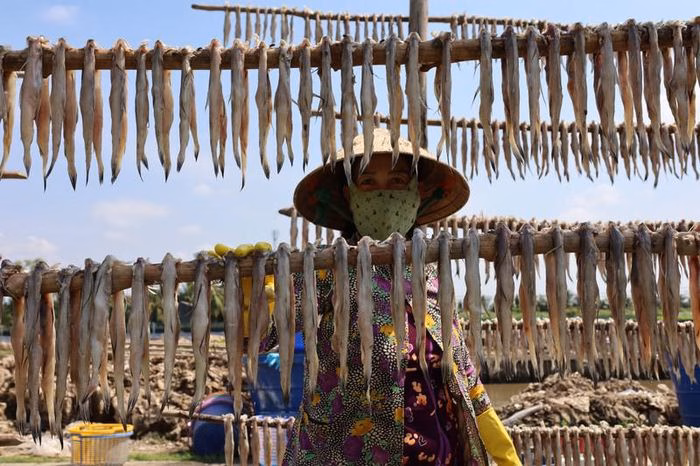 Quy tr&igrave;nh rửa, ướp đ&aacute; v&agrave; vắt c&aacute; khoai