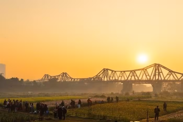 Săn bình minh Bến hoa Phúc Xá: Hướng dẫn chụp ảnh lung linh dưới cầu Long Biên