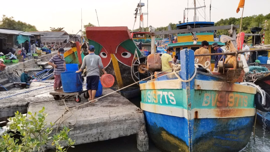 T&agrave;u c&aacute; tu&acirc;n thủ bộ quy tắc nghề c&aacute; c&oacute; tr&aacute;ch nhiệm trong dự &aacute;n FIP Vũng T&agrave;u