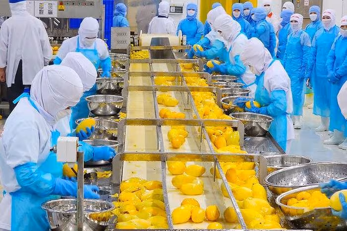 Thi đua lao động giỏi thúc đẩy tăng trưởng doanh nghiệp tại An Giang