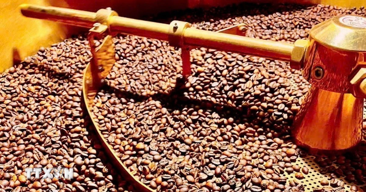 Thị trường cà phê 2026: Dự báo giá, nguồn cung và rủi ro tiềm ẩn