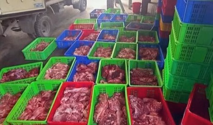 Thịt heo nhiễm ASF Số lượng thịt heo bị phát hiện nhiễm virus ASF