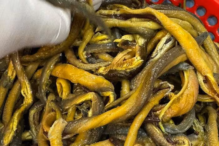 Thịt lươn Nghệ An: Di sản phi vật thể, món ngon và sức khỏe