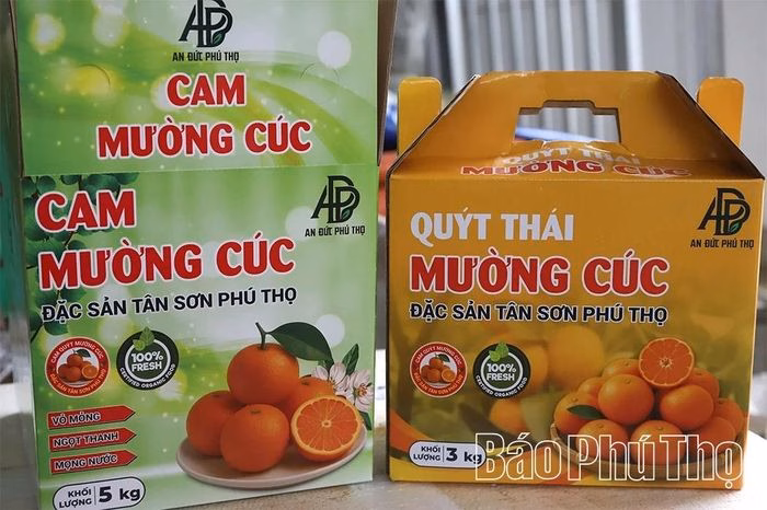 Thương hiệu cam, qu&yacute;t Mường C&uacute;c