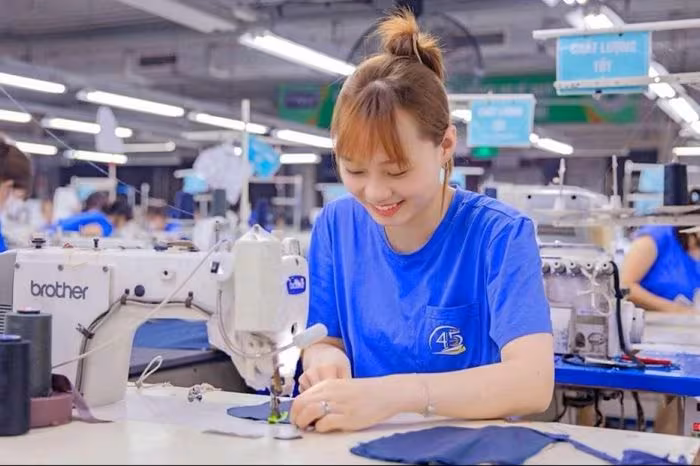 TNG báo cáo Q4/2025: Doanh thu tăng 9%, lợi nhuận kỷ lục, nhưng dòng tiền âm