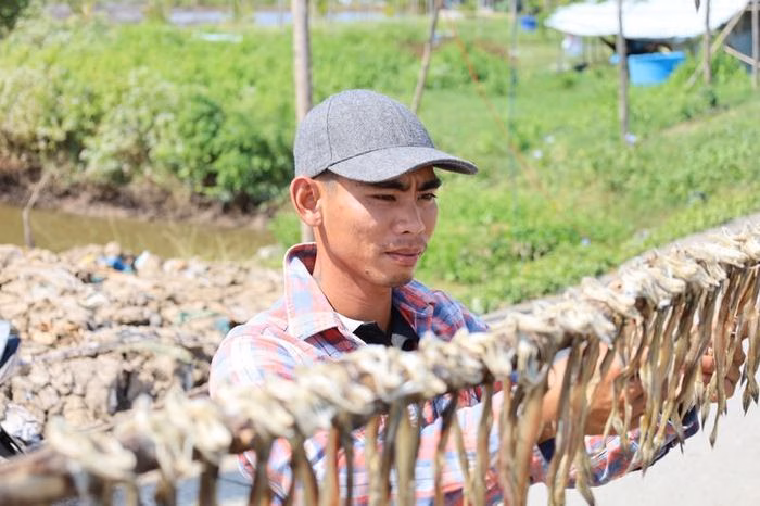 Tỷ lệ chuyển đổi 8-10kg c&aacute; tươi th&agrave;nh 1kg c&aacute; kh&ocirc;