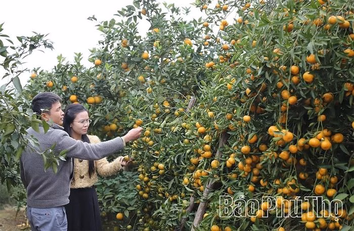 Vườn quả sai trĩu &ndash; điểm check‑in mới