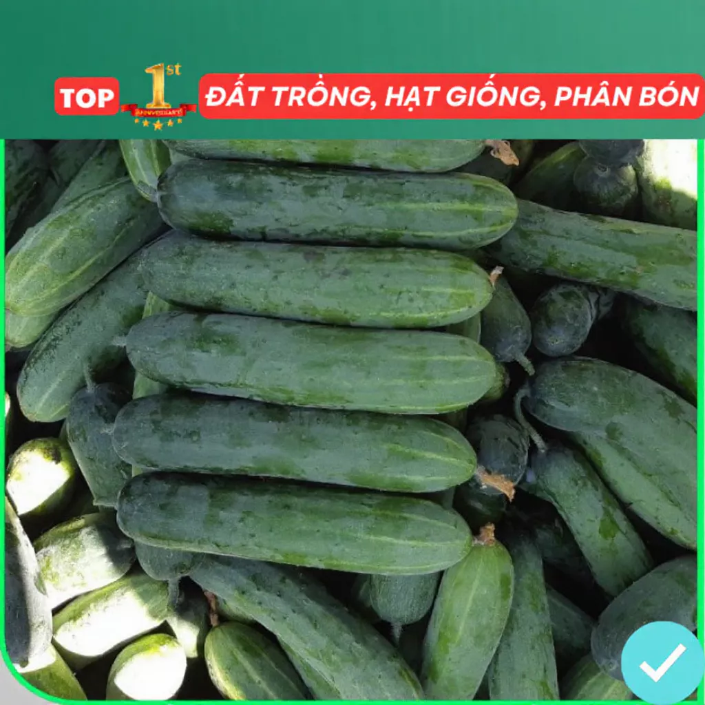 Làm thế nào để hạt giống rau củ quả F1 phát huy tối đa tiềm năng, từ kinh nghiệm của người trồng lần đầu