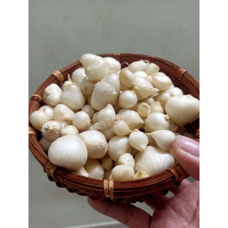 Làm sao để phân biệt hành tăm và hành đỏ, tránh mua nhầm khi đi chợ?