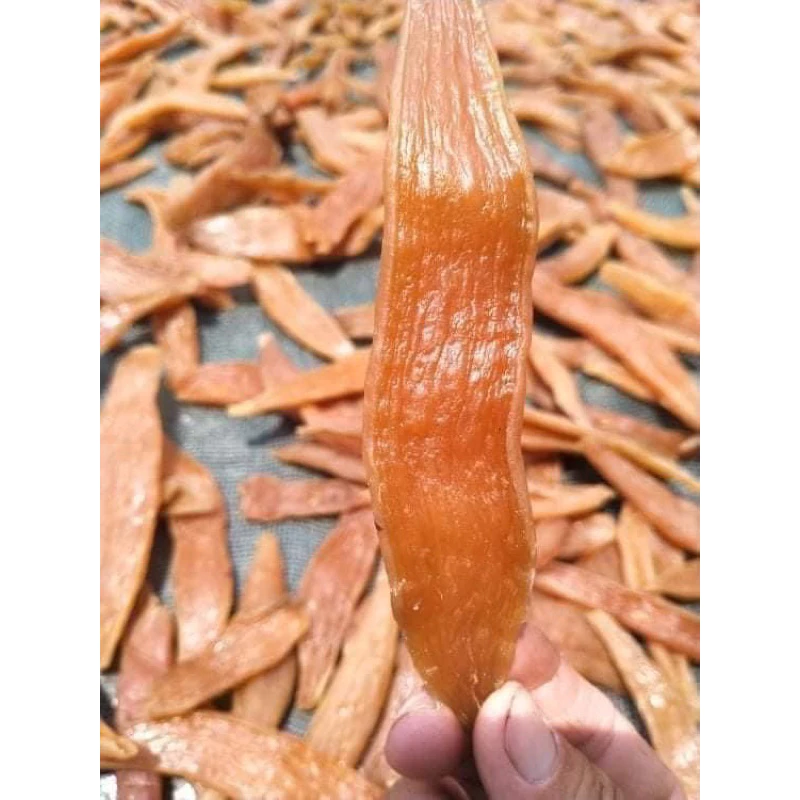 Lợi Ích Bất Ngờ Từ Khoai Gieo Quảng Bình – Món Ăn Không Thể Thiếu Trong Mùa Đông