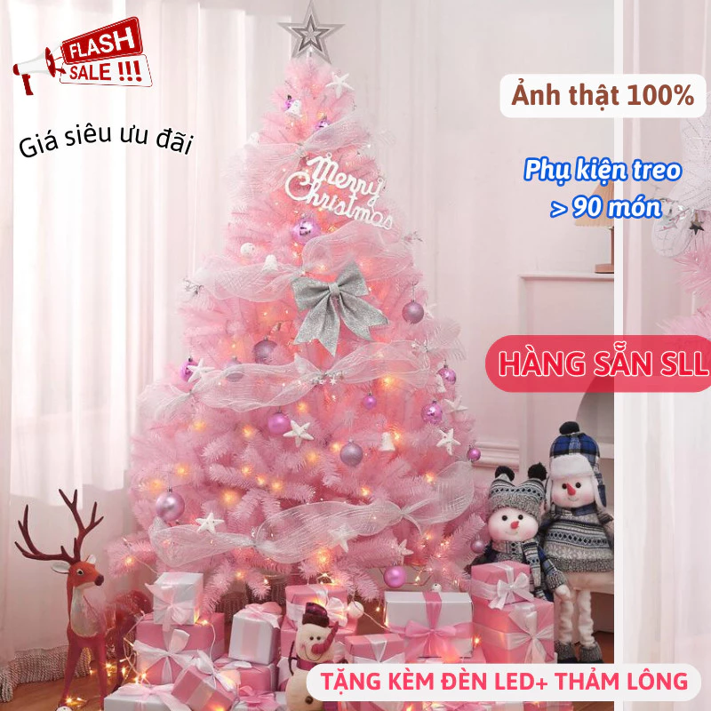 Làm thế nào để chọn cây thông Noel phù hợp với không gian và ngân sách của bạn?