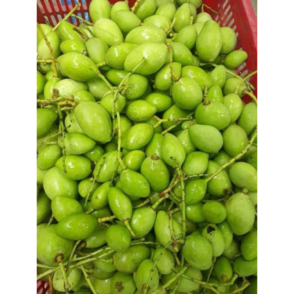 Tôi đã mua Xoài Non về và đây là những điều tôi ước biết trước khi ăn