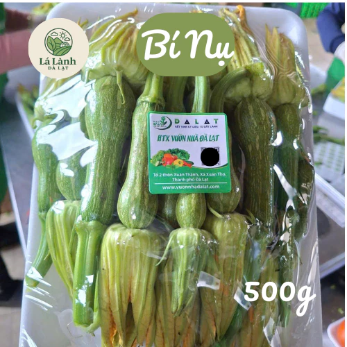 Làm thế nào để chọn và bảo quản bí nụ tươi Đà Lạt để giữ giòn ngọt suốt mùa?