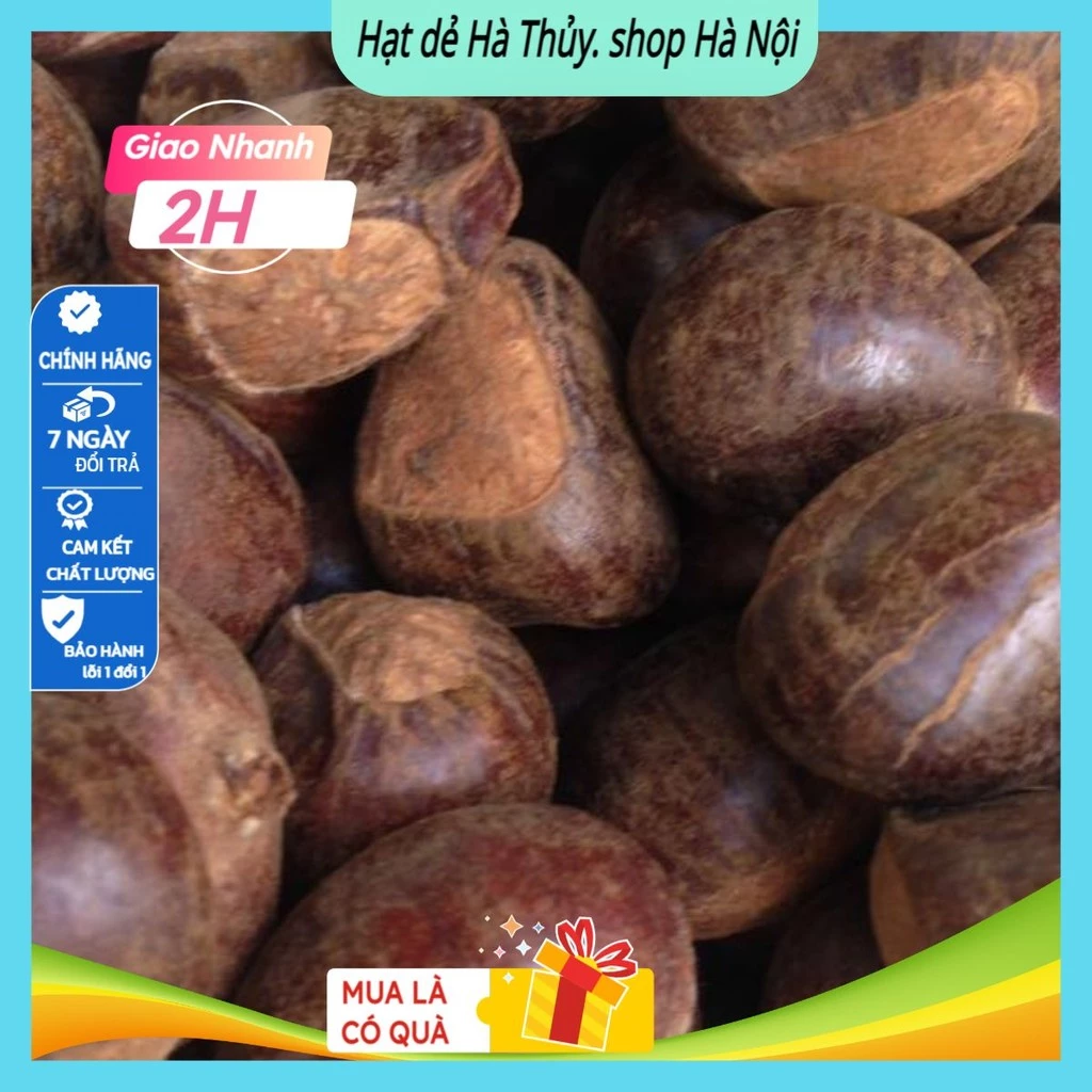 Làm thế nào để chọn hạt dẻ tươi ngon và tránh mua phải hàng kém chất lượng?