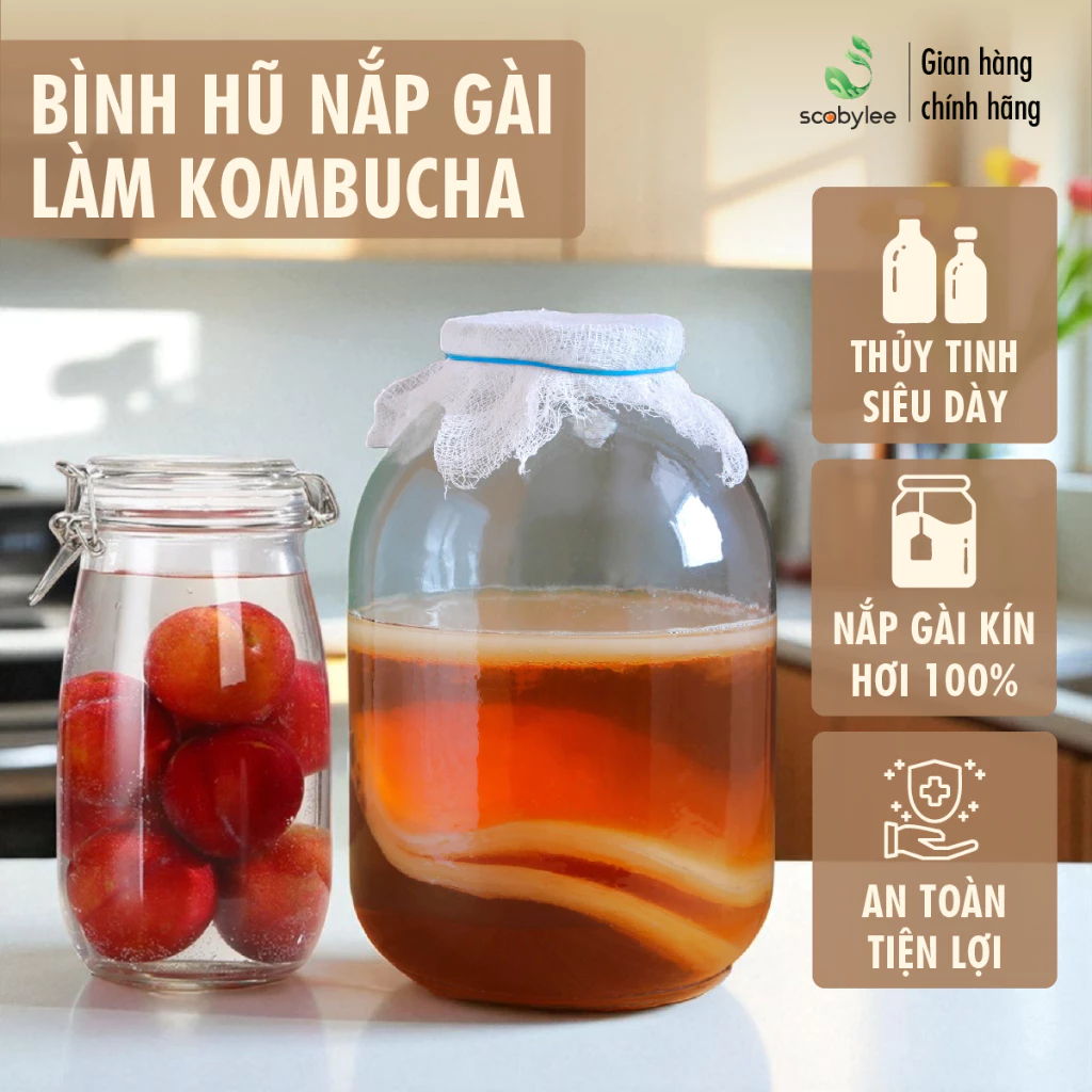 Làm sao để chọn bình thủy tinh ủ kombucha phù hợp và tránh sai lầm thường gặp