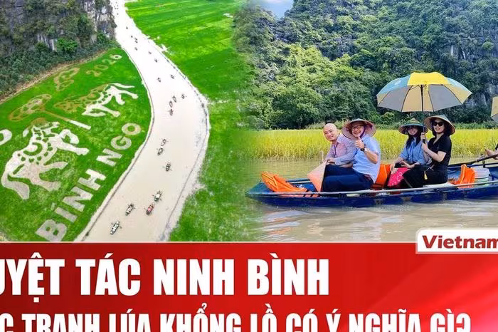 Chiêm ngưỡng “Song mã chầu báo công” – Kiệt tác tranh lúa khổng lồ tại Ninh Bình