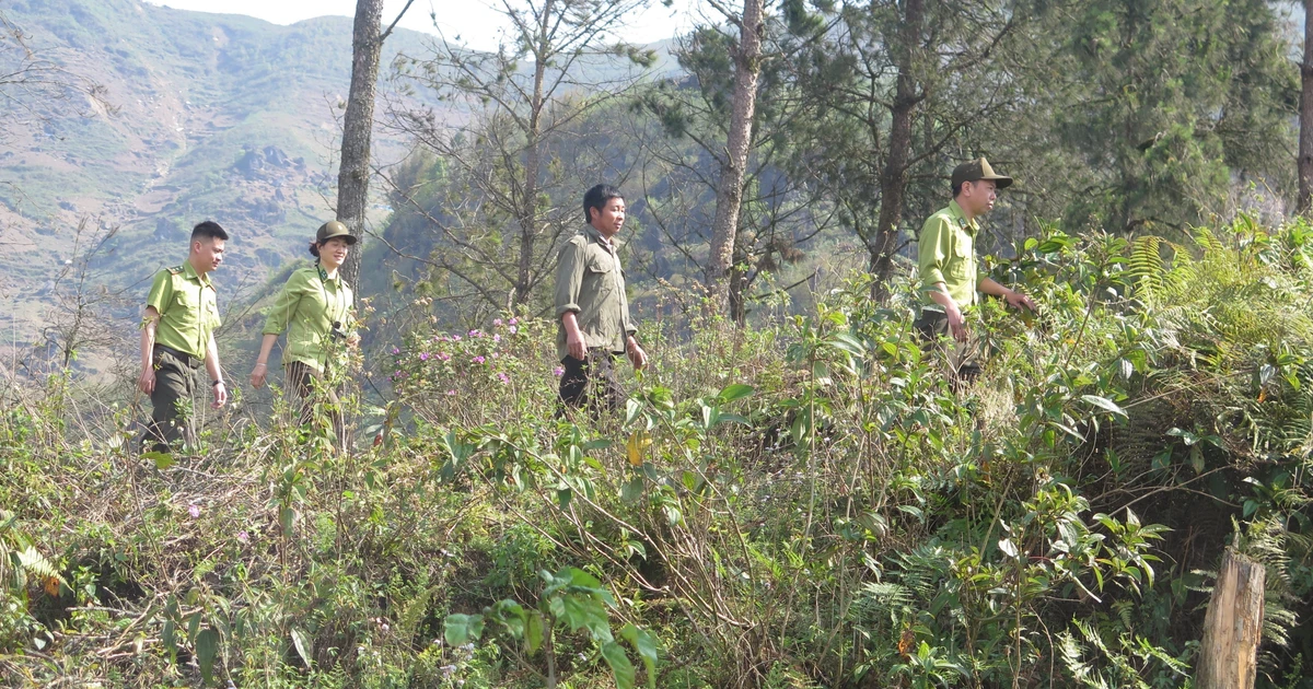 Chiến lược ‘vây ráp’ lửa rừng tại Lào Cai: Khi luật tục hòa quyện cùng pháp luật
