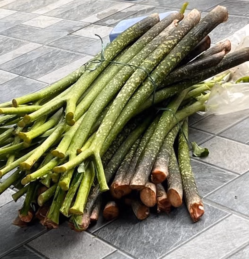 Chột nưa được đ&oacute;ng g&oacute;i b&aacute;n cho thị trường th&agrave;nh phố với gi&aacute; cao