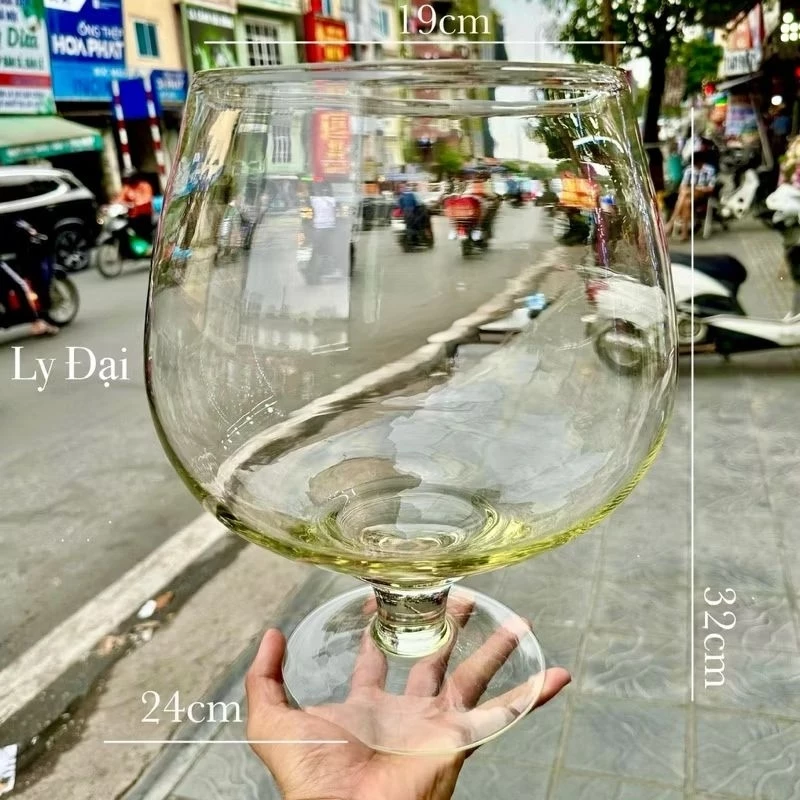 Bí quyết tránh lỗi mua bình thủy tinh cá cảnh quá lớn khiến cá stress – kinh nghiệm thực tế của người mới