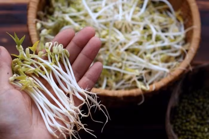 5 loại rau giải nhiệt thải độc cực mạnh: Bí quyết ‘đập tan’ nóng trong