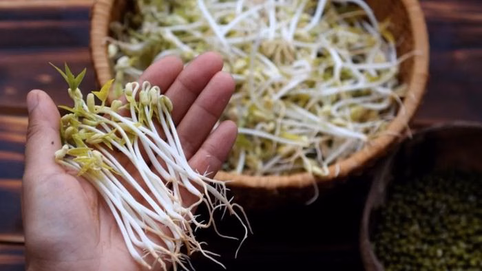 Gi&aacute; đỗ tươi gi&agrave;u vitamin C gi&uacute;p thanh lọc cơ thể v&agrave; l&agrave;m m&aacute;t gan