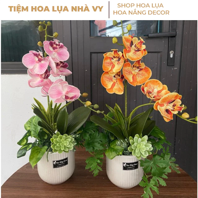 Cách tránh mua nhầm chậu lan giả nhỏ cho không gian làm việc: kinh nghiệm thực tế từ người mới