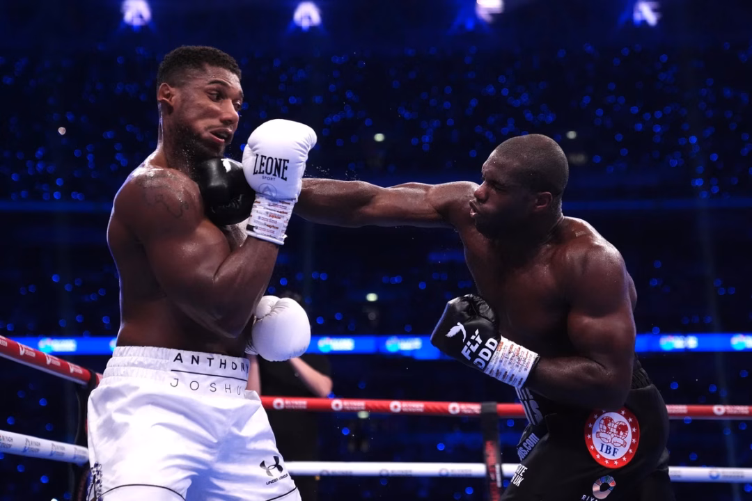 Dubois có mạch 3 trận toàn thắng knock-out trước khi tái đấu Usyk