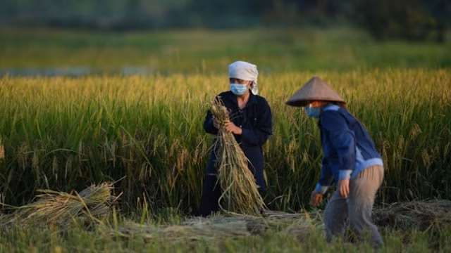 Nữ khoa học giúp hồi sinh rừng đầu nguồn bằng tín chỉ carbon ‘Nông nghiệp có tội tình gì’?