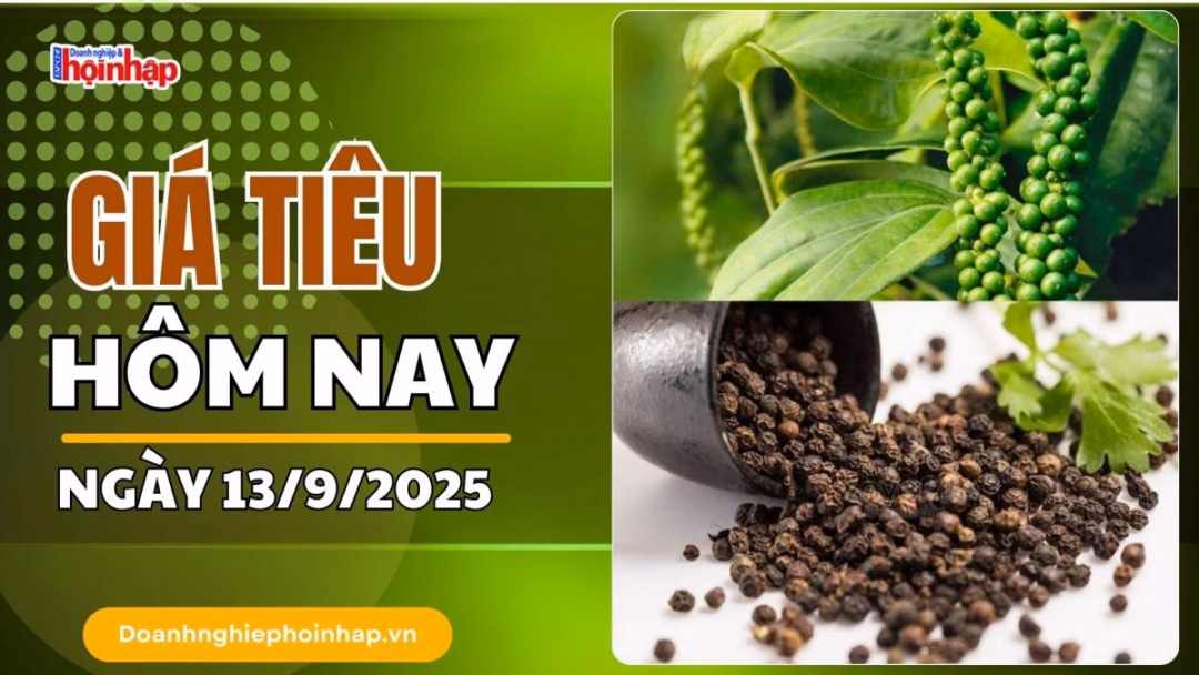 Giá lúa mì giảm do thu hoạch toàn cầu tăng và đồng USD mạnh Giá tiêu hôm nay 13/9: Tiêu trong nước giảm mạnh nhất là 1.000 đồng/kg
