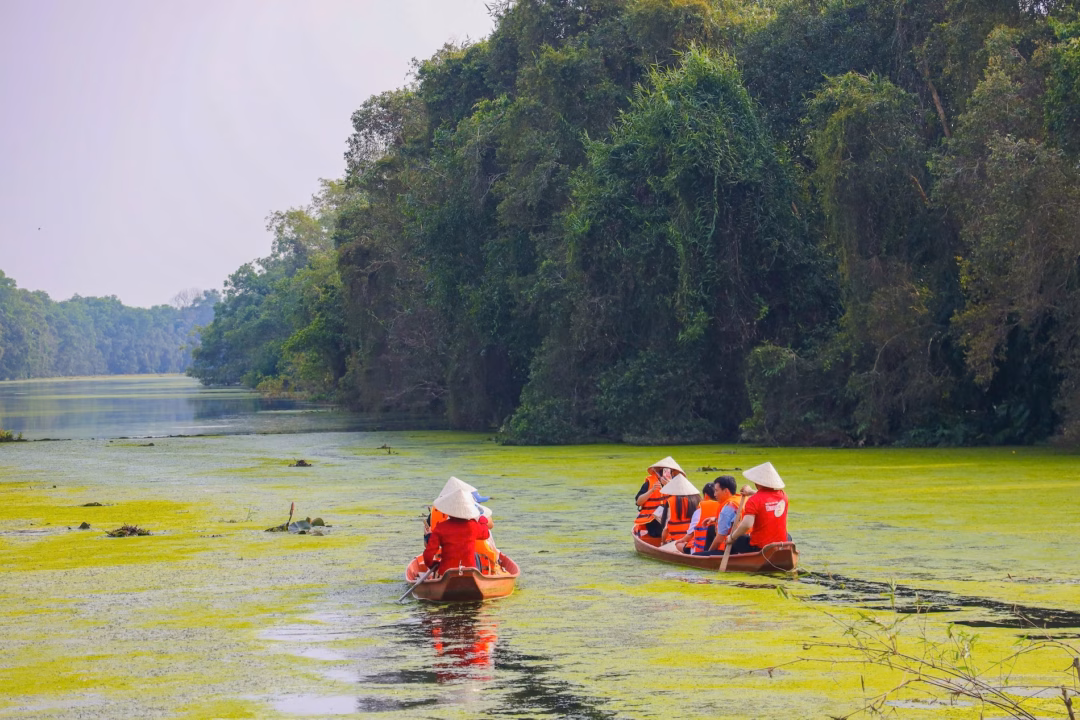 Màu xanh thanh bình và khát vọng vươn xa của Khu Bảo tồn Đồng Tháp Mười trong hành trình “tái định vị” thương hiệu du lịch sinh thái
