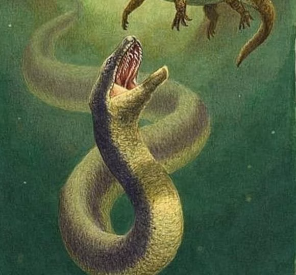 Môi trường sống của Titanoboa Môi trường sống của Titanoboa