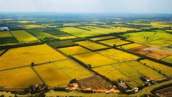 Luật Đất đai 2024 và chuyển nhượng đất nông nghiệp Điều kiện chuyển nhượng đất nông nghiệp theo Luật Đất đai 2024