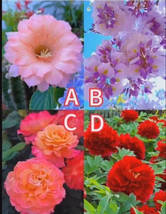 Trắc nghiệm tâm lý